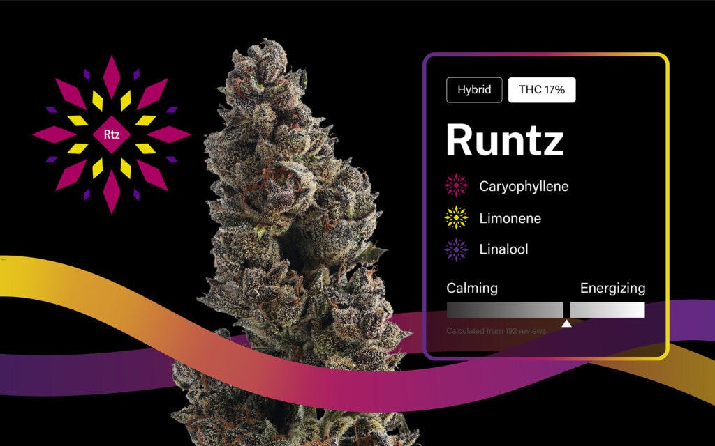 runtz, zkittlez, gelato, strain of the year, 2020